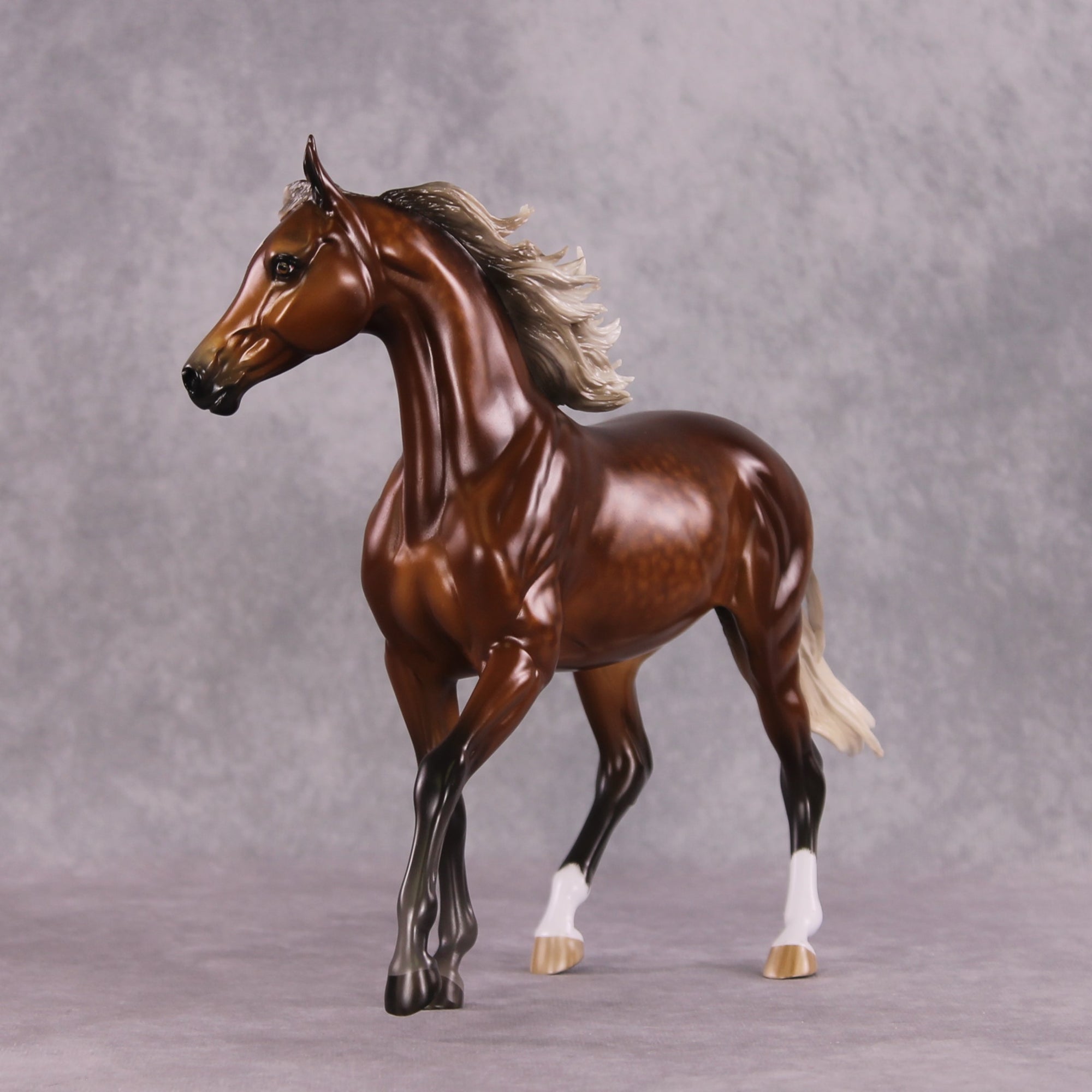 "Typhoon Mary" Best Offer FCM Arab Mare By Sheryl Leisure 04/22/2025