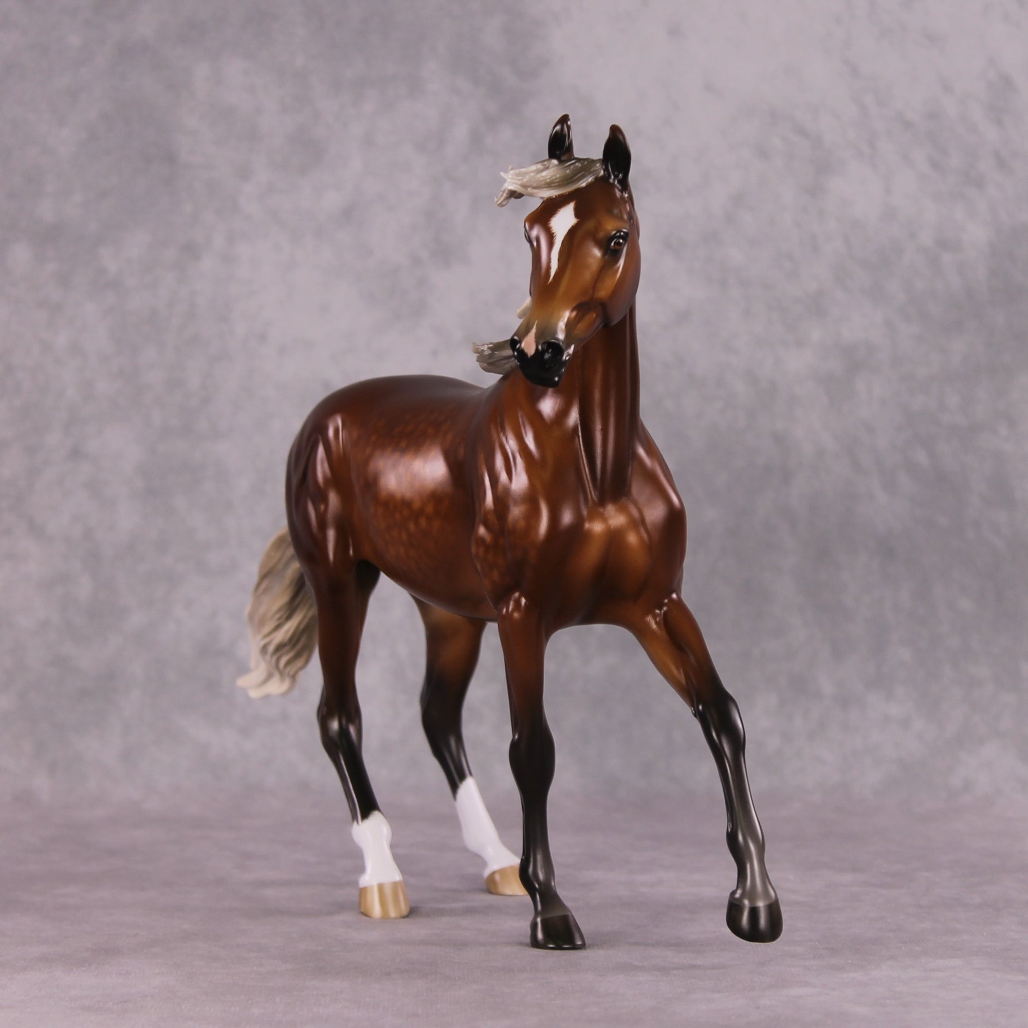 "Typhoon Mary" Best Offer FCM Arab Mare By Sheryl Leisure 04/22/2025