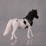 Abigail Limited Edition Rat Inspired Series of 15 OOAK Dark Champagne Sabino Pony Chip By Jess Hamill LHS24