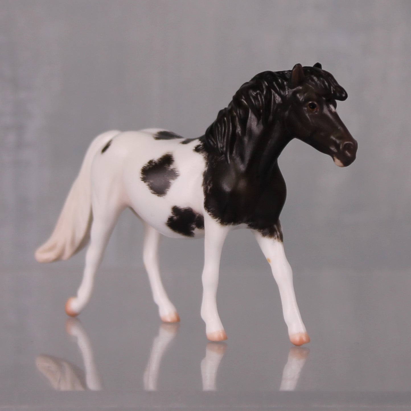 Abigail Limited Edition Rat Inspired Series of 15 OOAK Dark Champagne Sabino Pony Chip By Jess Hamill LHS24