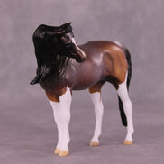 Amaranthine LE-5 EFCM Pebble Arabian by Anna Rieck LHS25