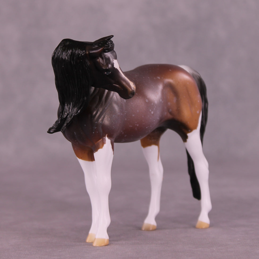 Amaranthine LE-5 EFCM Pebble Arabian by Anna Rieck LHS25