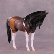 Amaranthine LE-5 EFCM Pebble Arabian by Anna Rieck LHS25
