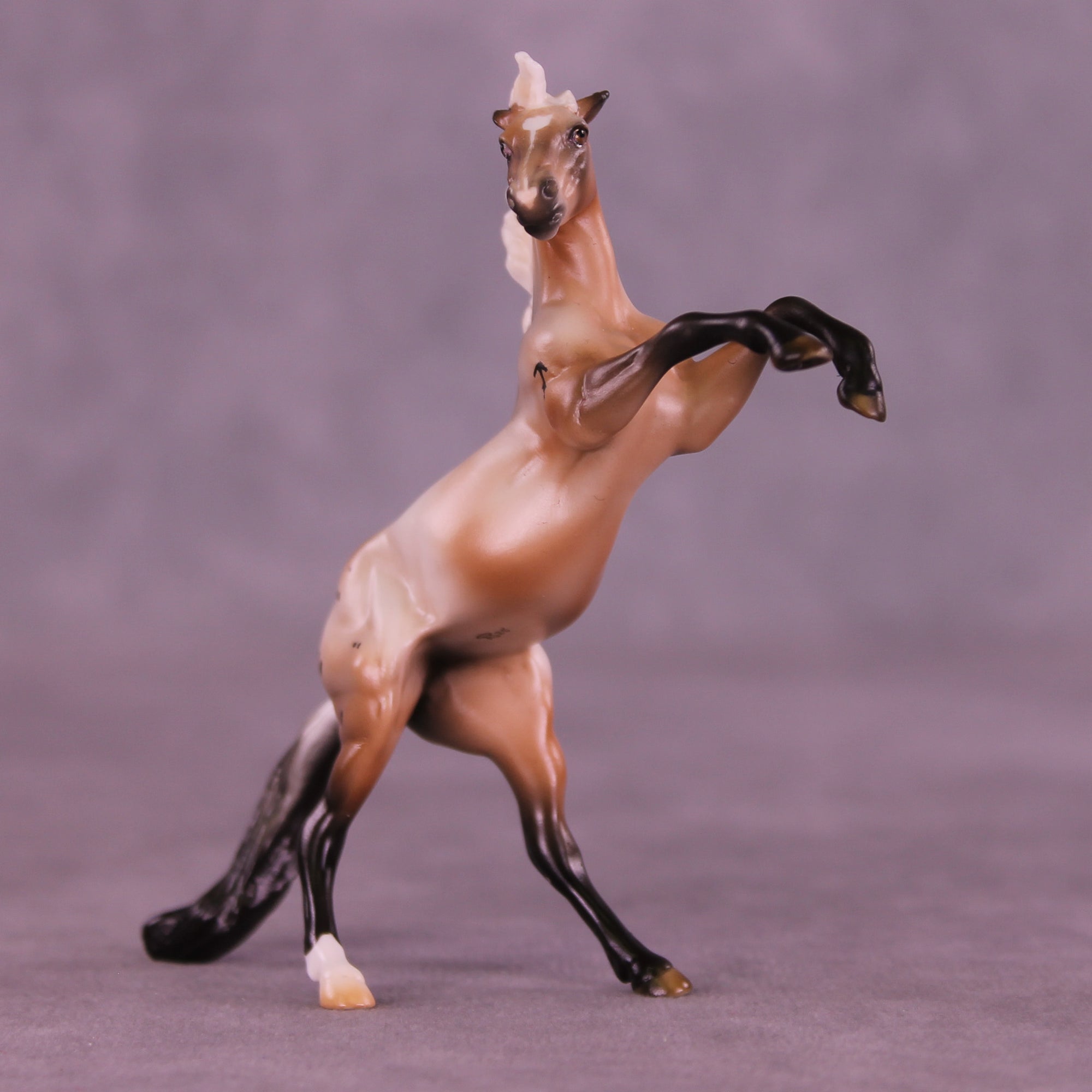 Mini Ascella OOAK FCM Chip Mustang by Ashley Palmer &amp; Melanie Miller SCD26