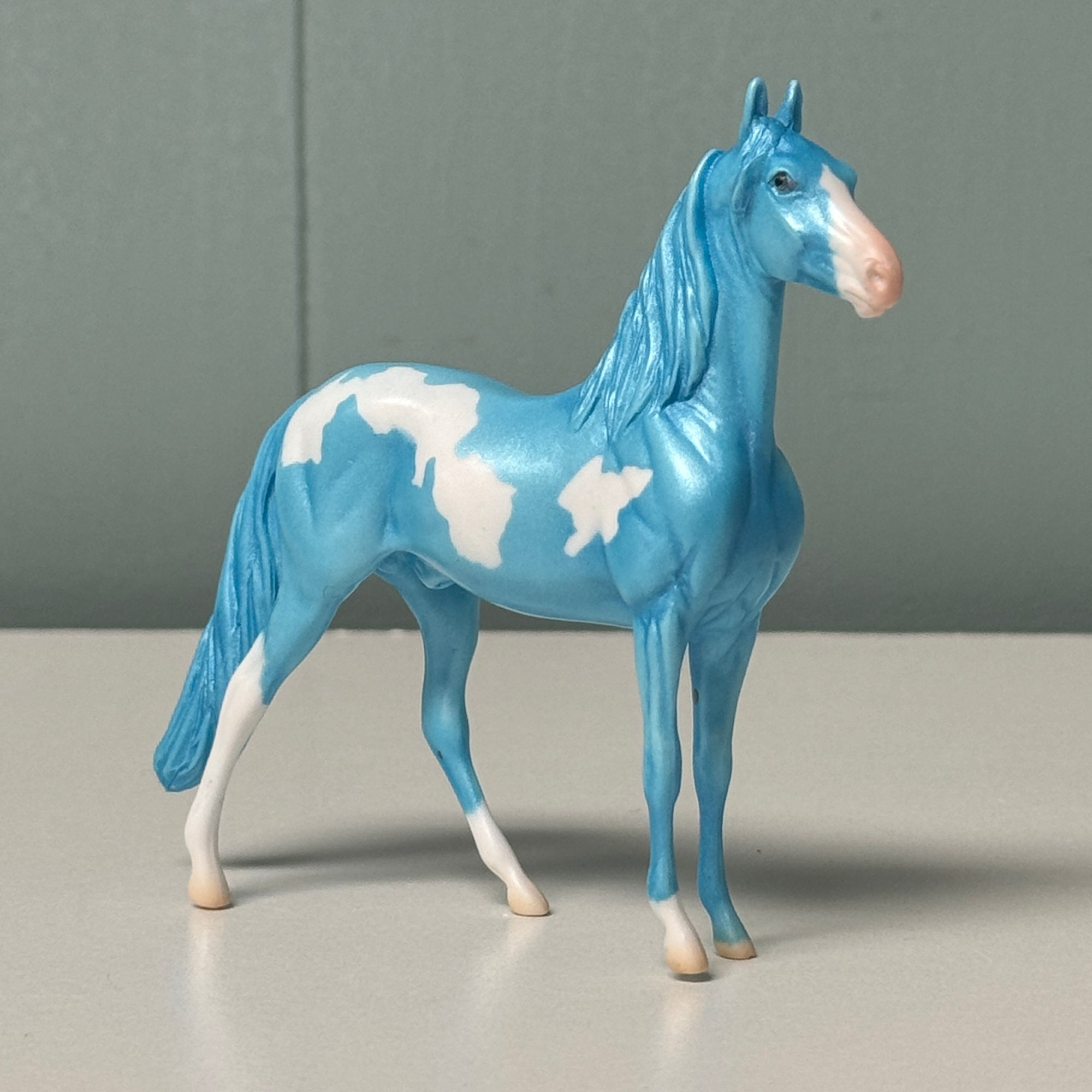 Anthocyanin OOAK Deco Cyan Blue Overo Morgan Chip By Jess Hamill EQ24