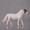 Ava Limited Edition Rat Inspired Series of 15 OOAK Medicine Hat Champagne Pony Chip By Jess Hamill  LHS24