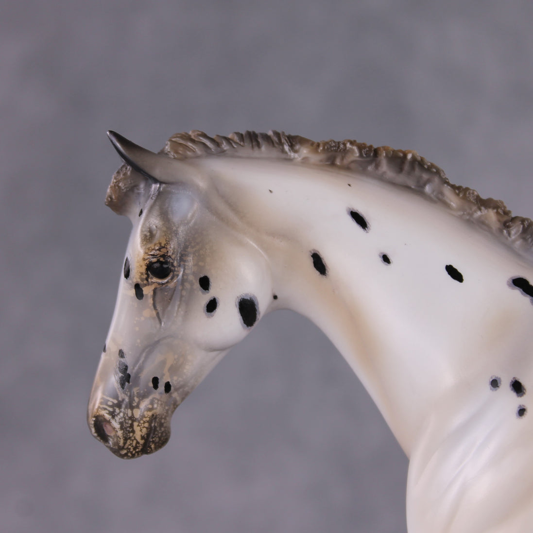 "Kampot" OOAK Custom Leopard Appy Pony Stone By Kristen Cermele - Gemstone Series