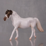 Ava Limited Edition Rat Inspired Series of 15 OOAK Medicine Hat Champagne Pony Chip By Jess Hamill  LHS24