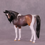 Amaranthine LE-5 EFCM Pebble Arabian by Anna Rieck LHS25