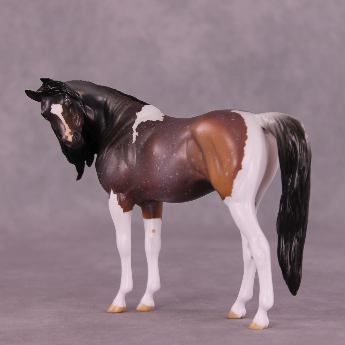 Amaranthine LE-5 EFCM Pebble Arabian by Anna Rieck LHS25