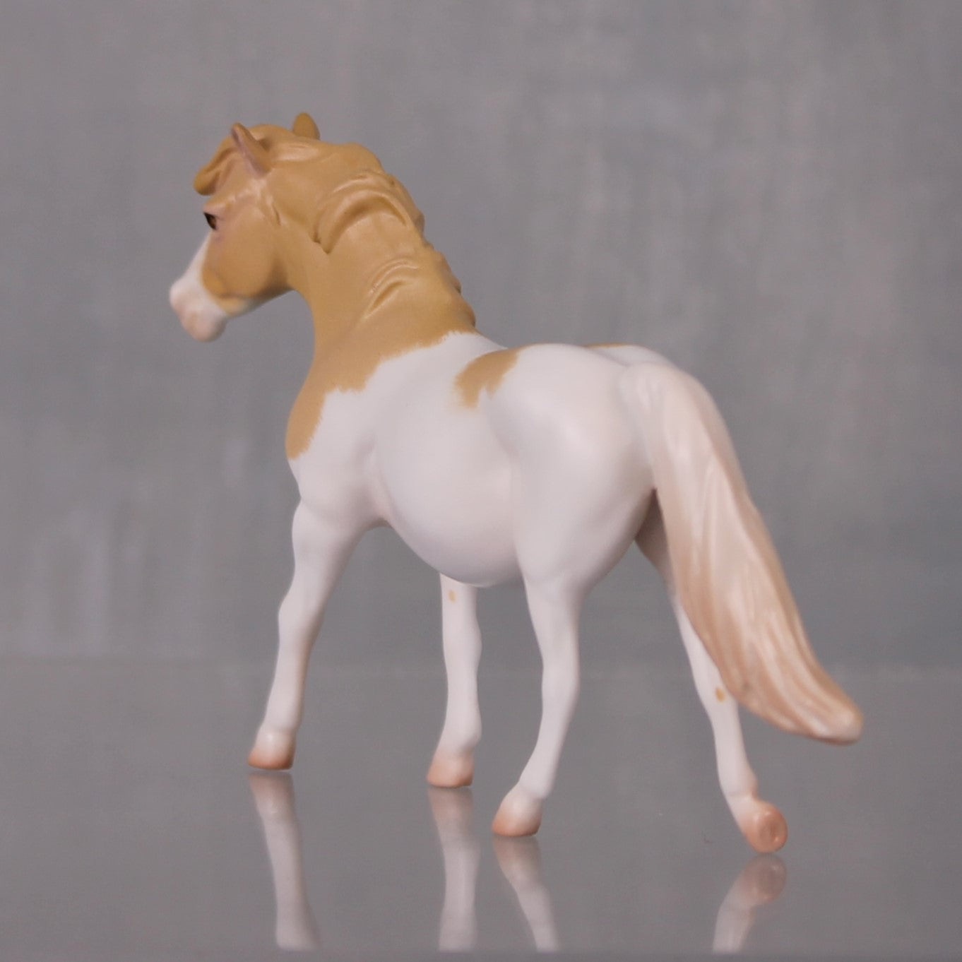 Alexandrea Limited Edition Rat Inspired Series of 15 OOAK Perlino Splash Pony Chip By Jess Hamill LHS24