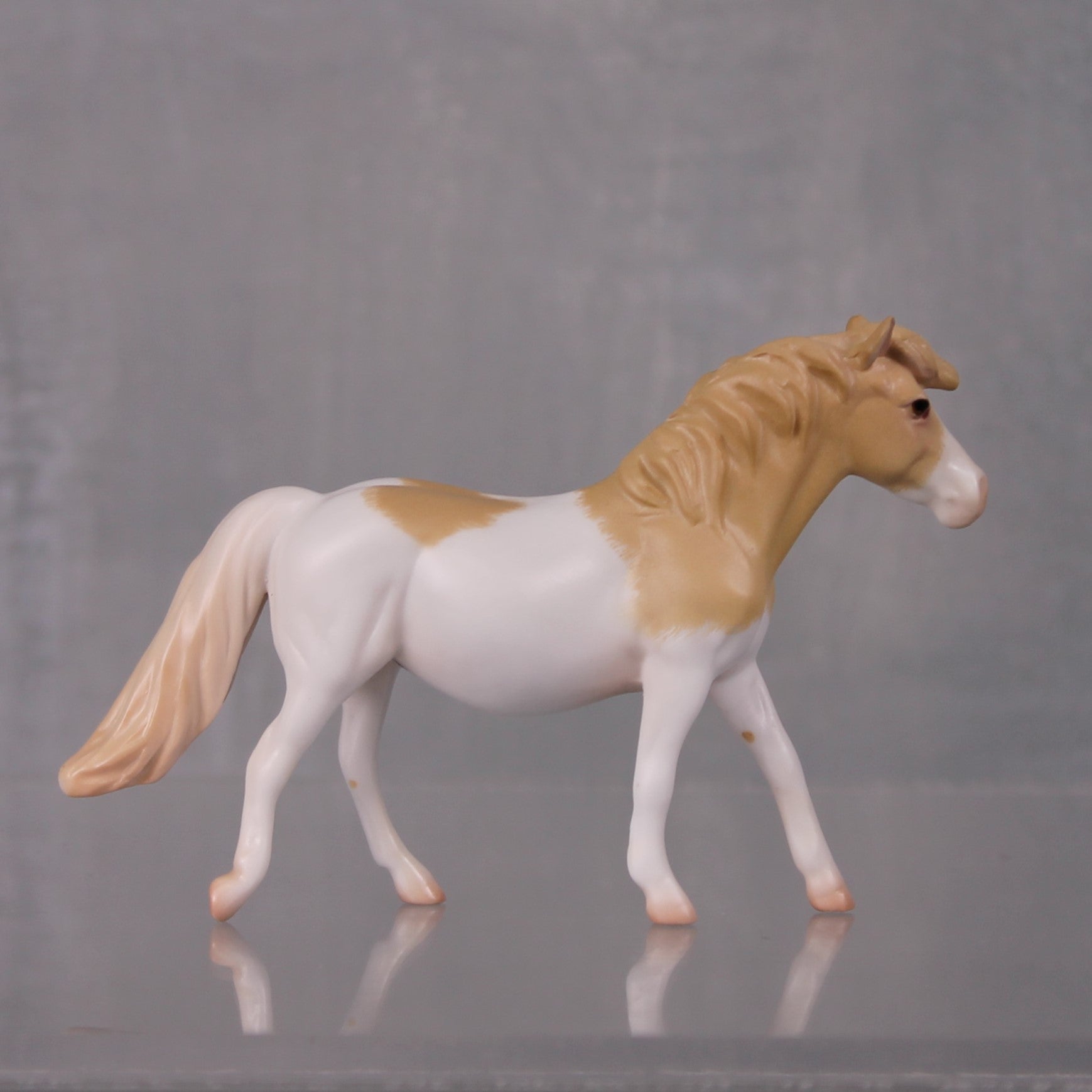 Alexandrea Limited Edition Rat Inspired Series of 15 OOAK Perlino Splash Pony Chip By Jess Hamill LHS24