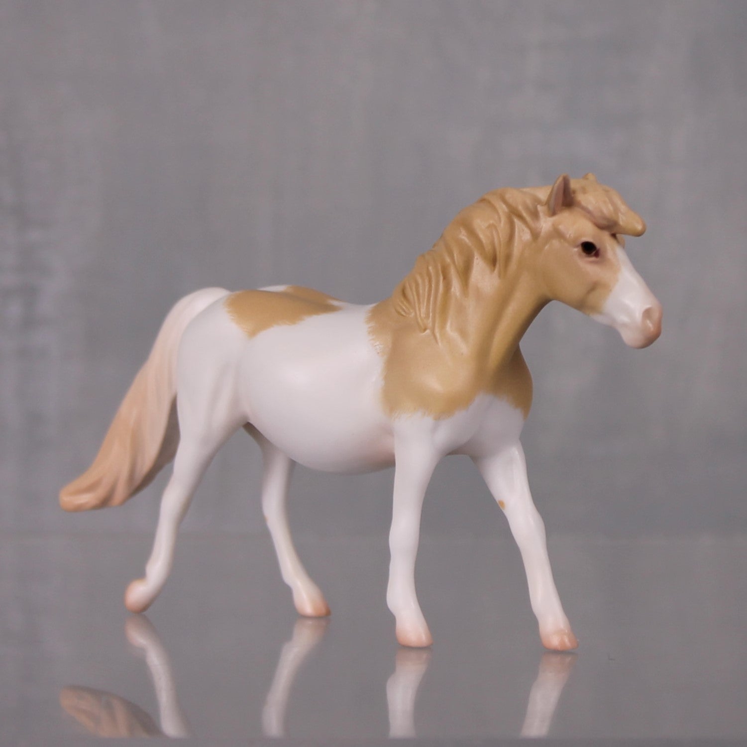 Alexandrea Limited Edition Rat Inspired Series of 15 OOAK Perlino Splash Pony Chip By Jess Hamill LHS24