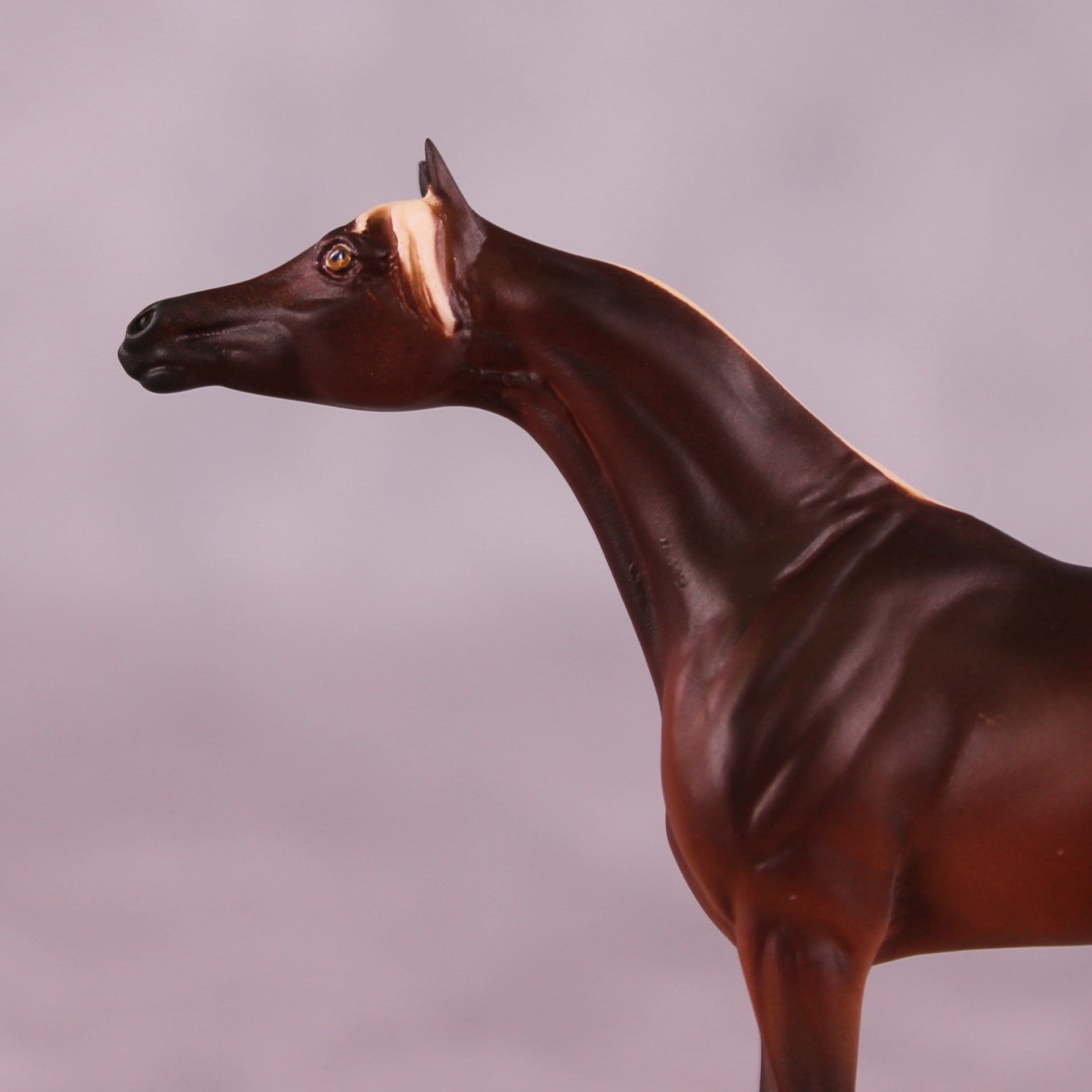 "Too Little Too Late" OOAK EFCM Arabian Chip by Leah Koerper Best Offer EQ25 07/15/25