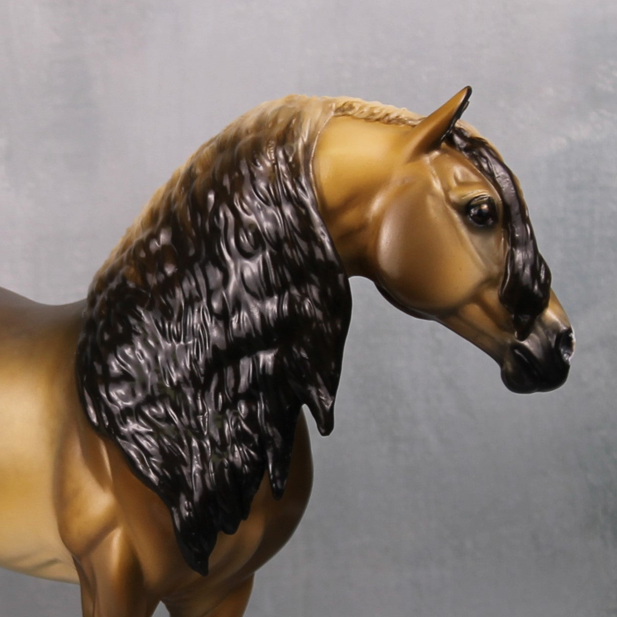 Minhas Meios OOAK Sooty Buckskin PRE Custom Andalusian By Tiffany Purdy Best Offers 9/17/24