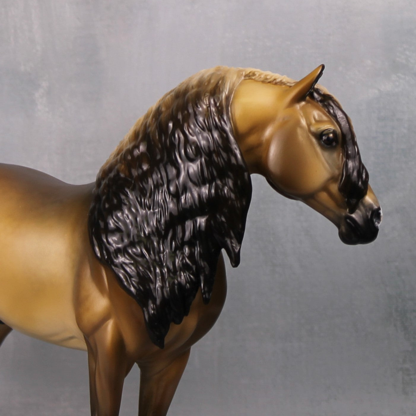 Minhas Meios OOAK Sooty Buckskin PRE Custom Andalusian By Tiffany Purdy Best Offers 9/17/24