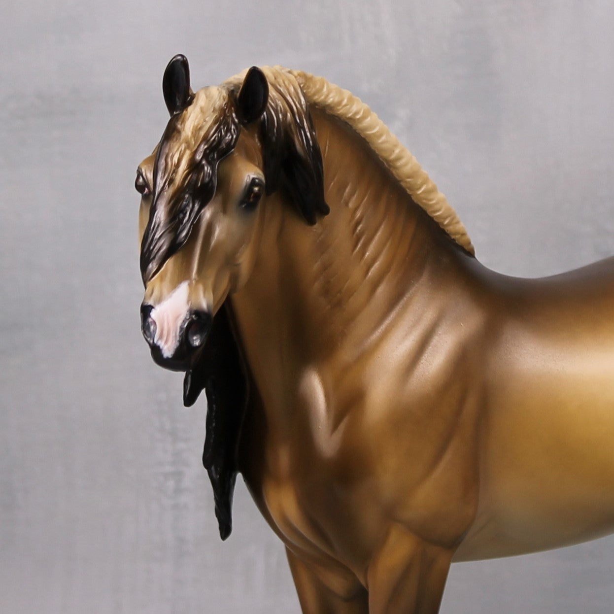 Minhas Meios OOAK Sooty Buckskin PRE Custom Andalusian By Tiffany Purdy Best Offers 9/17/24