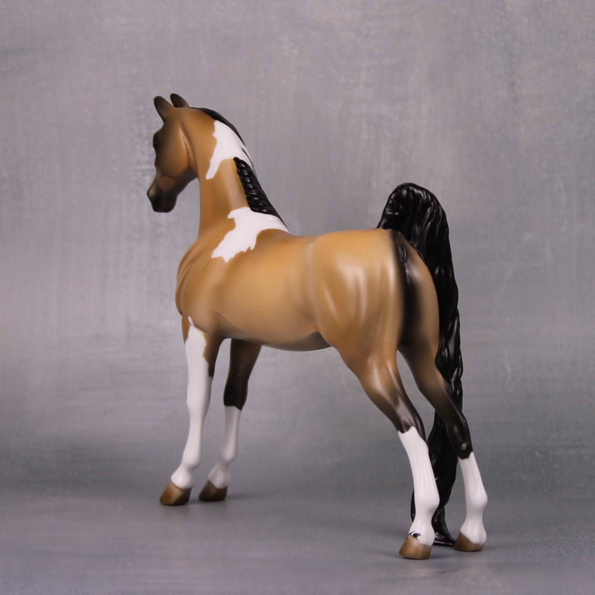 Jessica OOAK Buckskin Tobiano Pebble Saddlebred By Jess Hamill LHS24