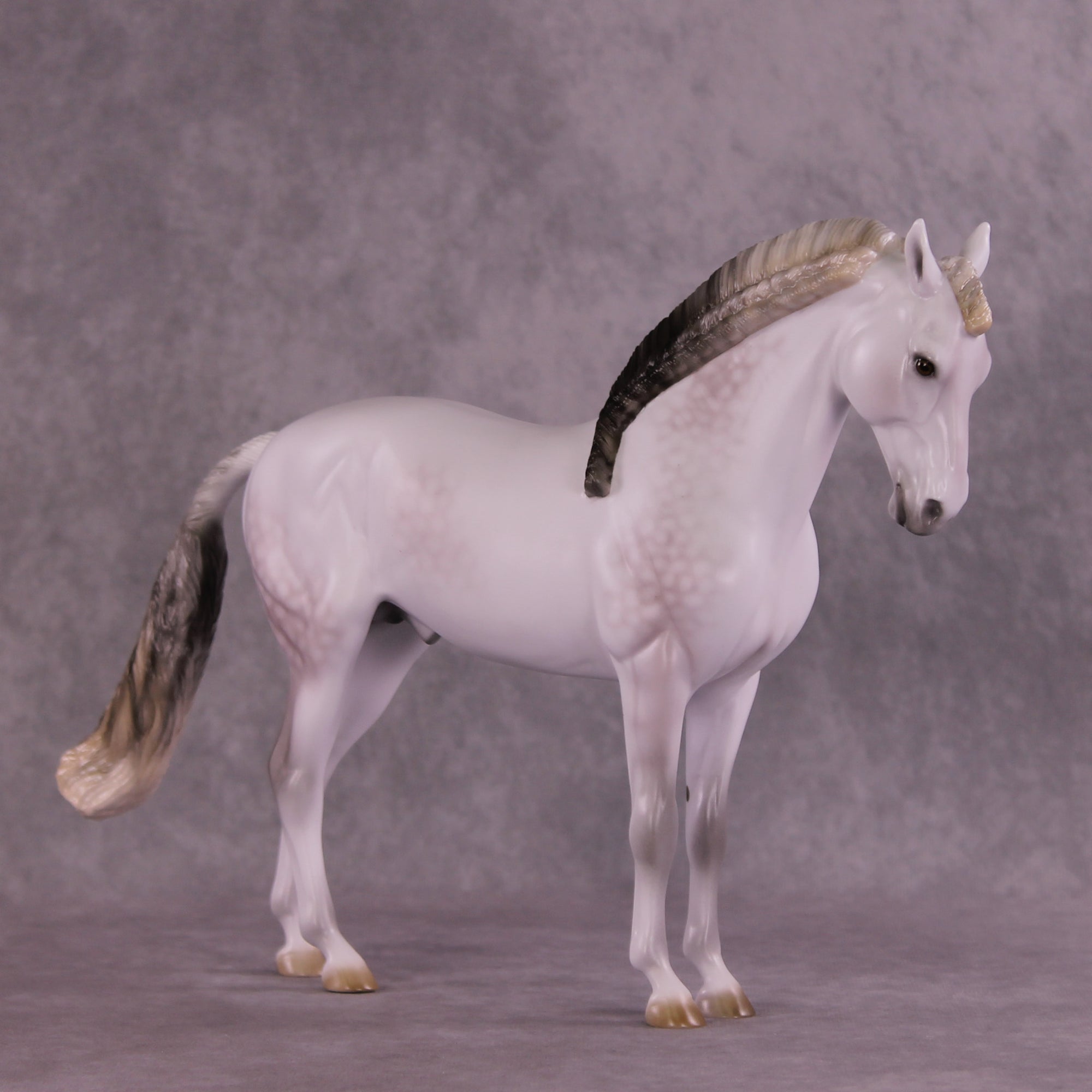 Segue OOAK FCM Andalusian by Ellen Robbins DDOOAKs25