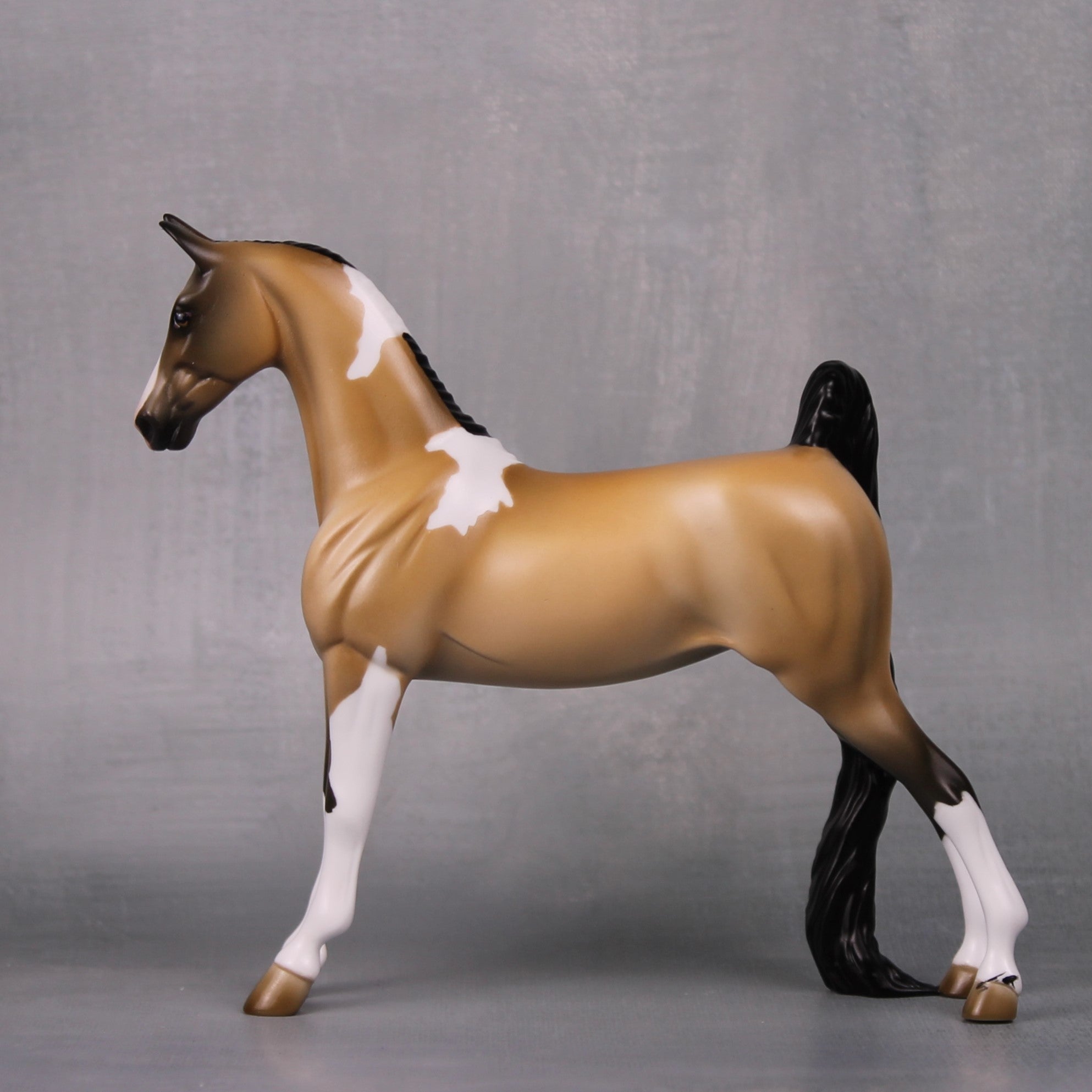 Jessica OOAK Buckskin Tobiano Pebble Saddlebred By Jess Hamill LHS24