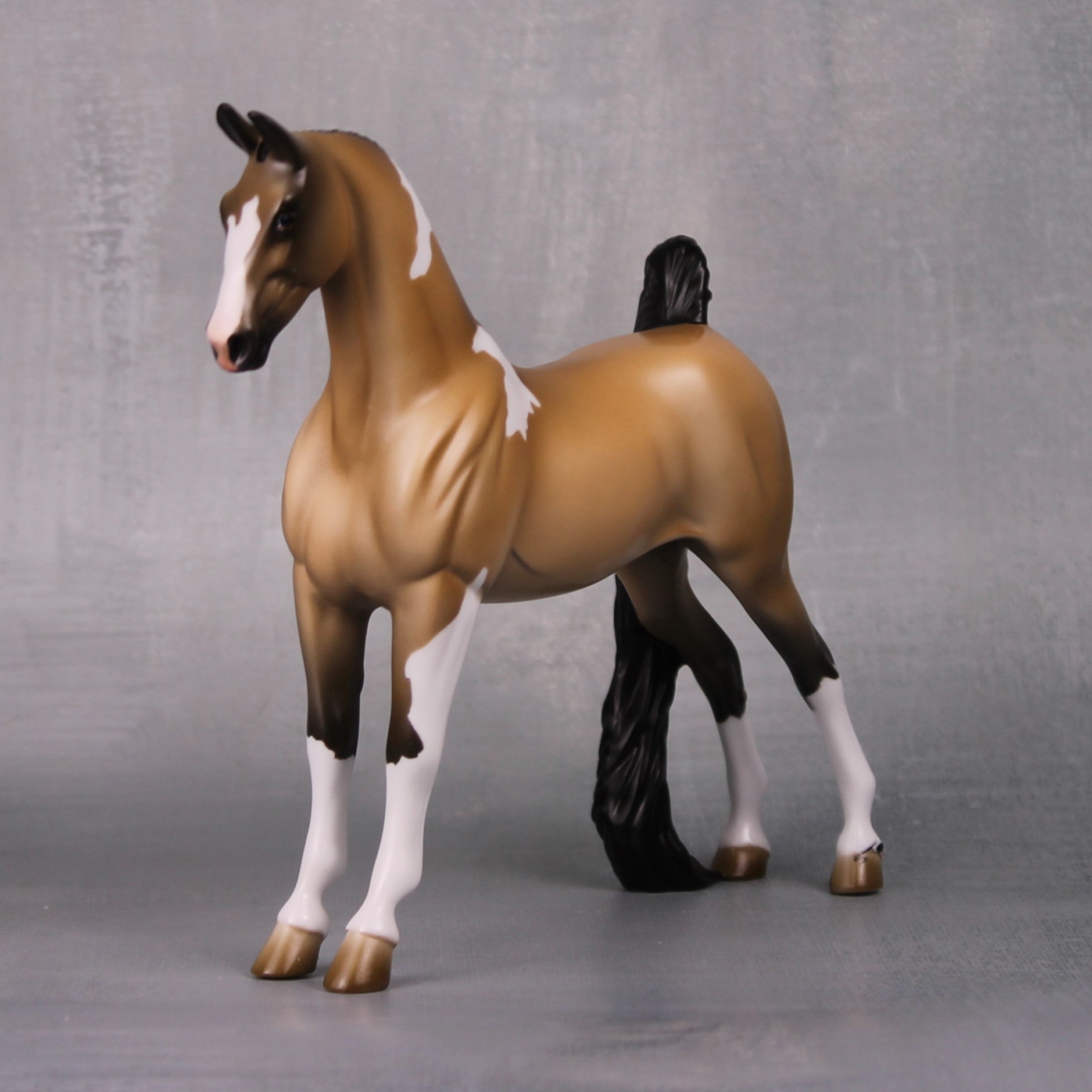 Jessica OOAK Buckskin Tobiano Pebble Saddlebred By Jess Hamill LHS24