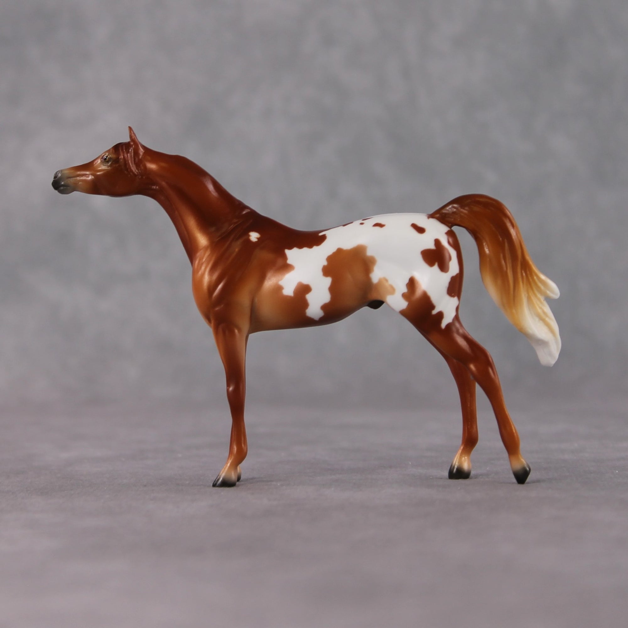 Arabian Chip Grab Bag - January 2025 We've Got History Shakespeare Chips Painted By Ellen Robbins CL25