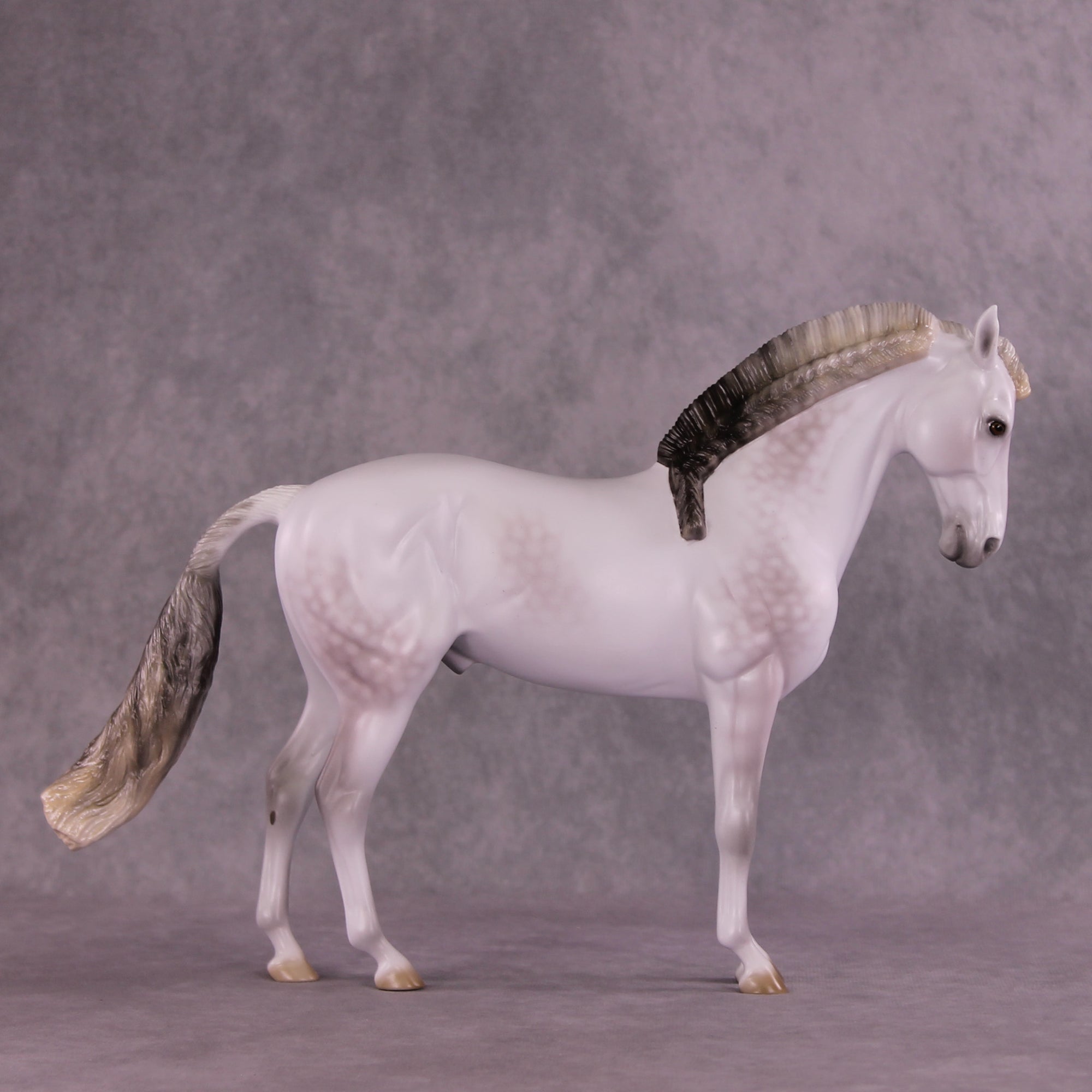 Segue OOAK FCM Andalusian by Ellen Robbins DDOOAKs25