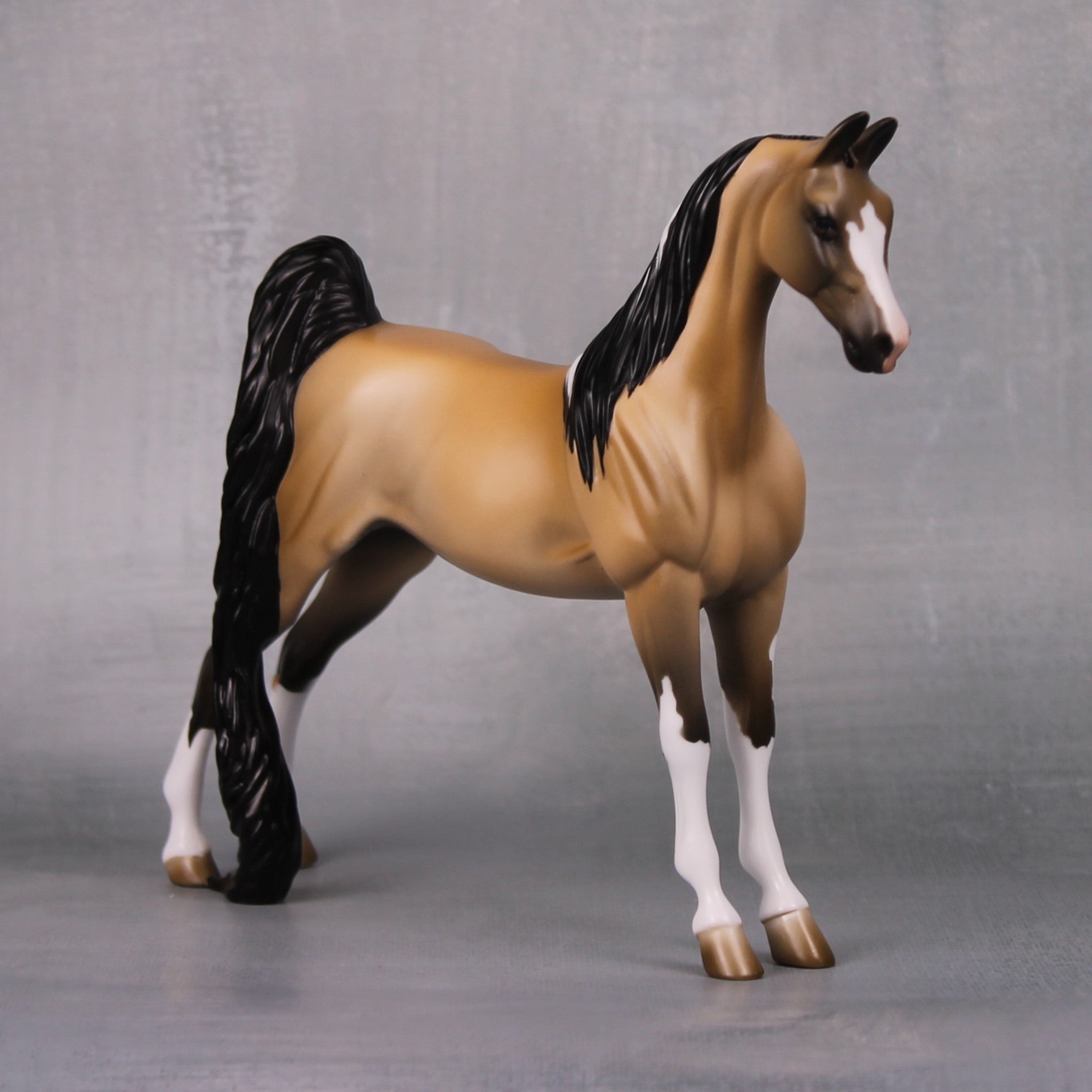 Jessica OOAK Buckskin Tobiano Pebble Saddlebred By Jess Hamill LHS24