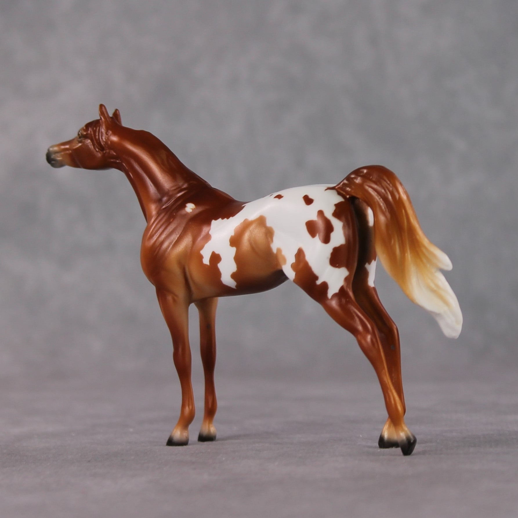 Arabian Chip Grab Bag - January 2025 We've Got History Shakespeare Chips Painted By Ellen Robbins CL25