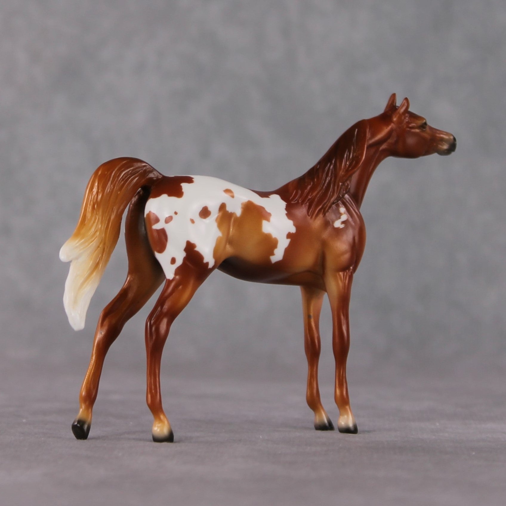 Arabian Chip Grab Bag - January 2025 We've Got History Shakespeare Chips Painted By Ellen Robbins CL25