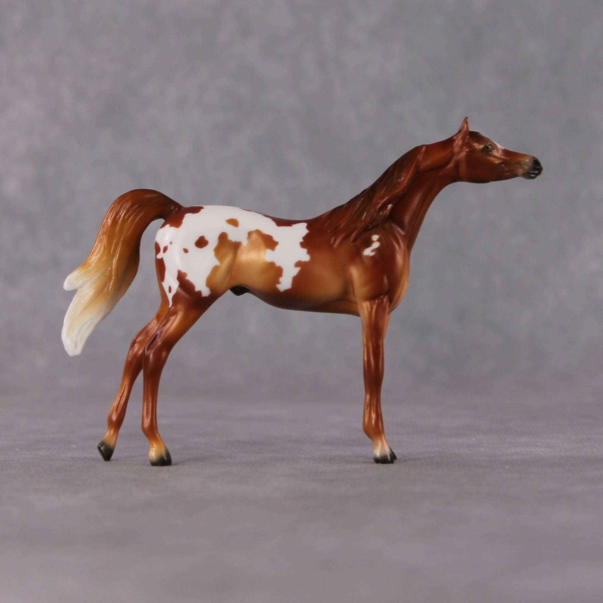 Arabian Chip Grab Bag - January 2025 We've Got History Shakespeare Chips Painted By Ellen Robbins CL25