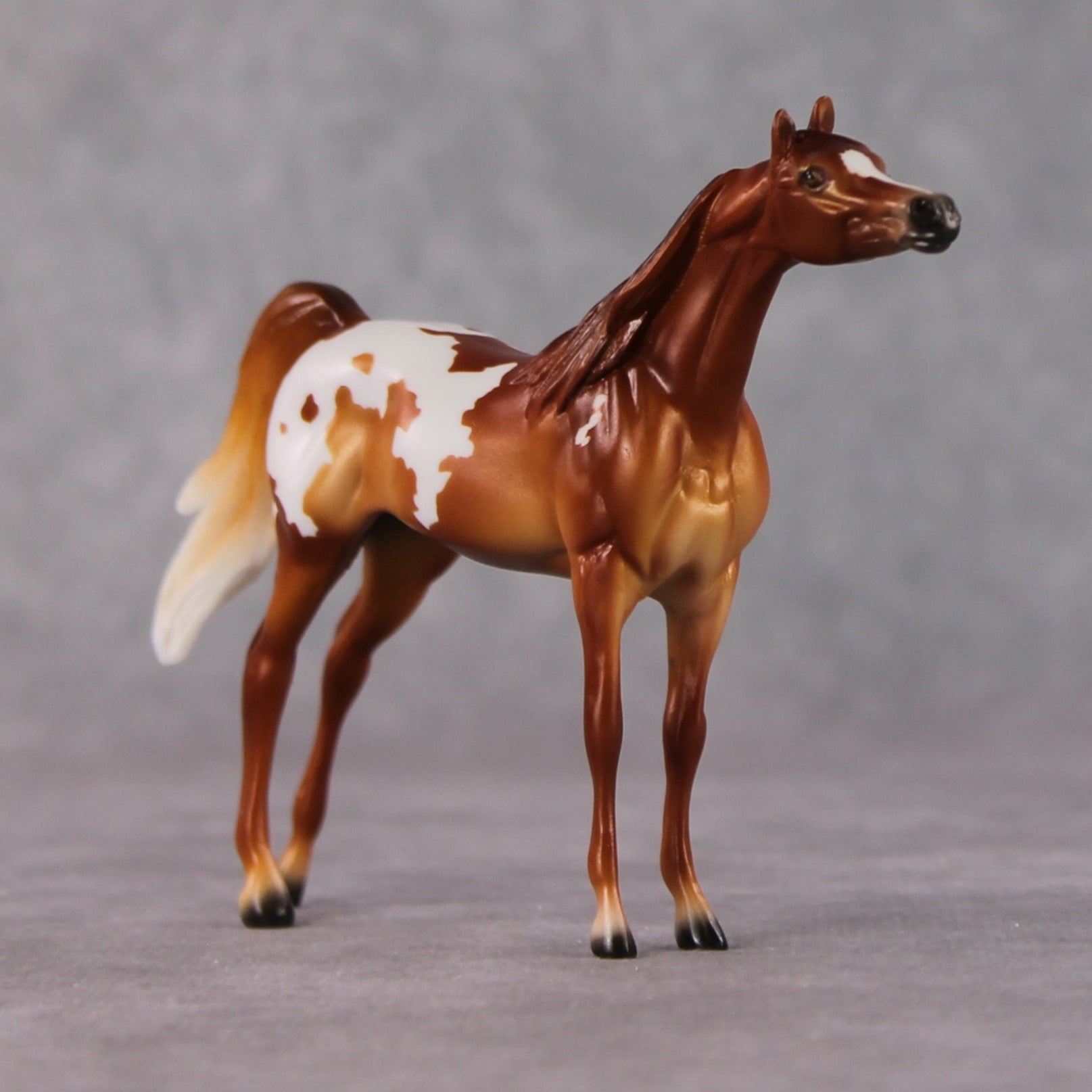 Arabian Chip Grab Bag - January 2025 We've Got History Shakespeare Chips Painted By Ellen Robbins CL25