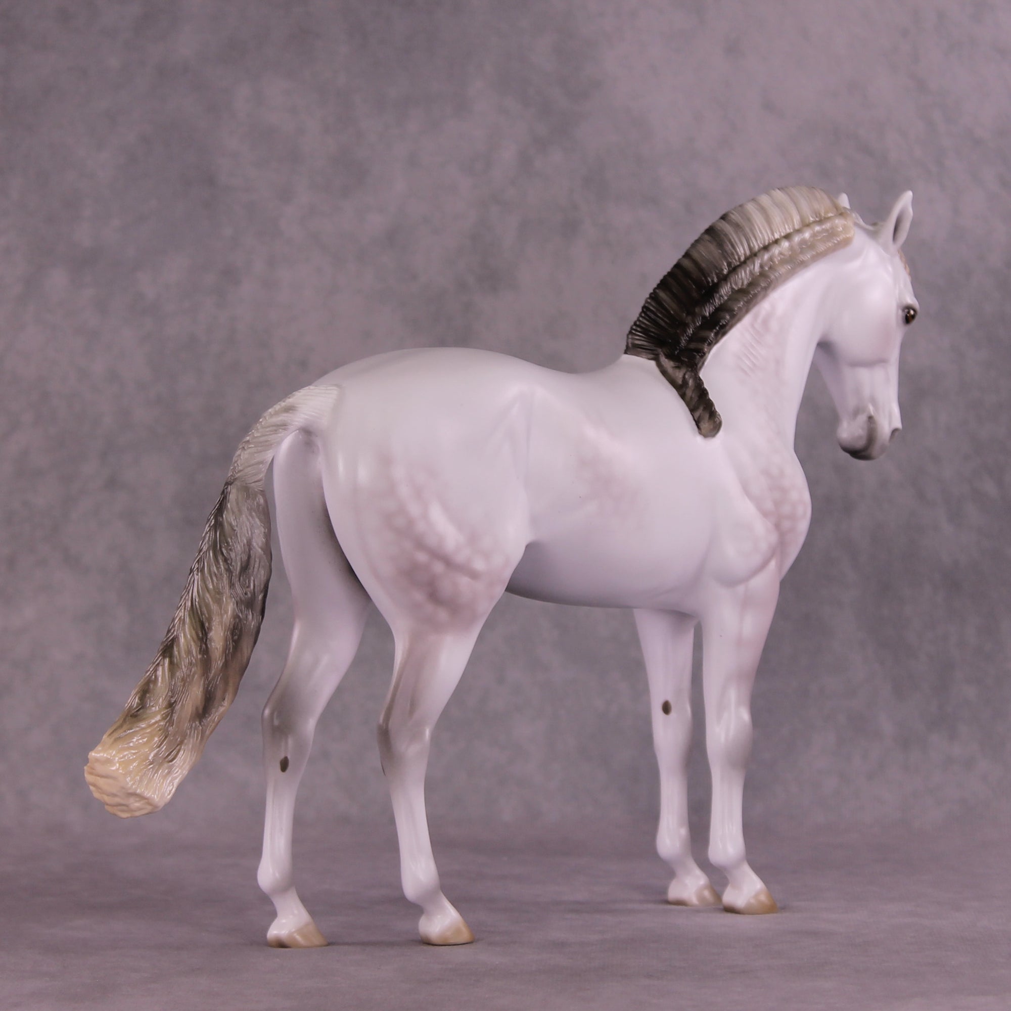 Segue OOAK FCM Andalusian by Ellen Robbins DDOOAKs25