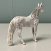 Mendous OOAK Dappled Gray Andalusian Chip By Andrea Thomason EQ24