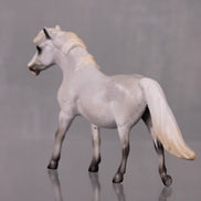 Autumn Rain Drop OOAK Series of 20 Shetland Ponies Fleabitten Grey Pony Chip By Ashley Palmer LHS24