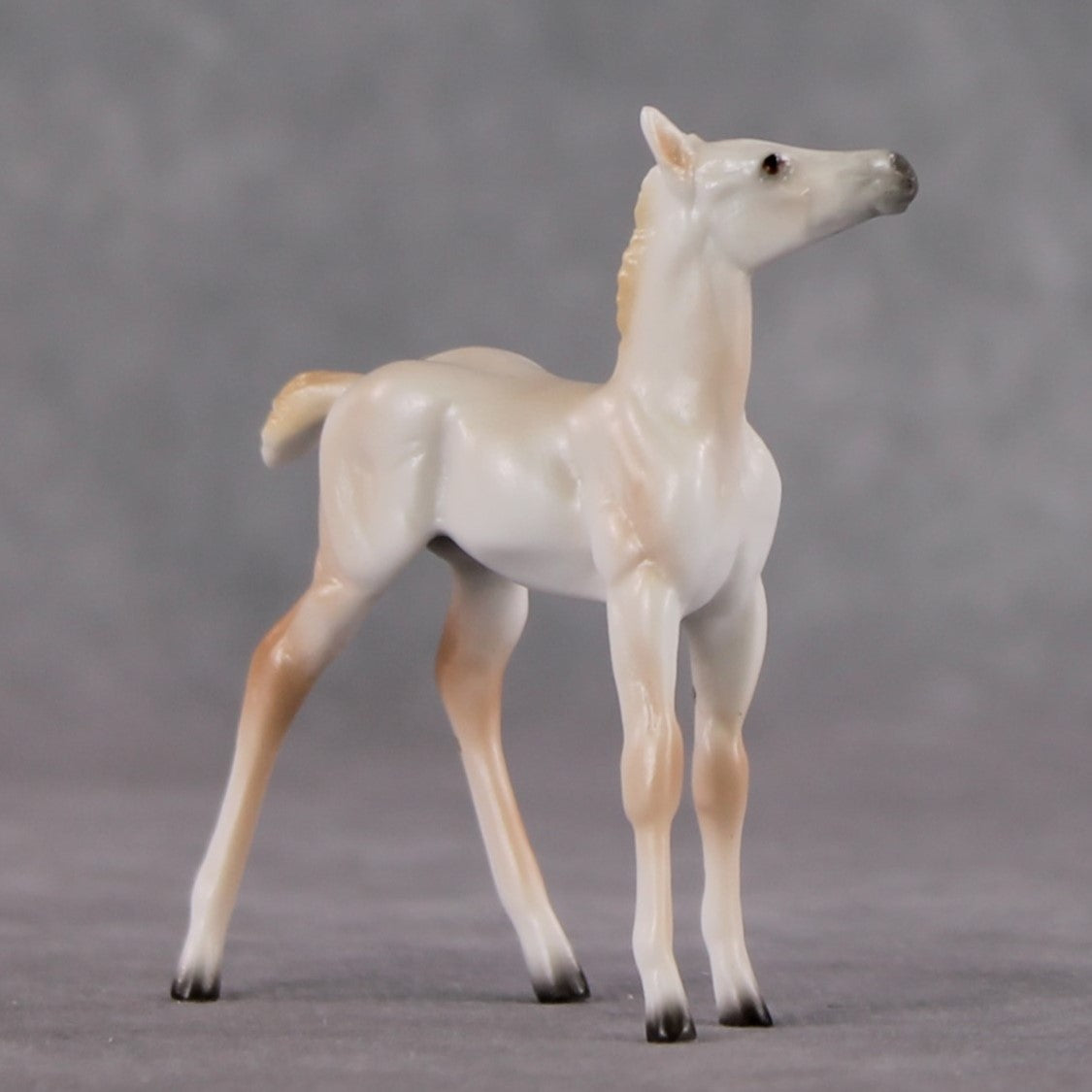 Foal Chip Grab Bag - January 2025 We've Got History Shakespeare Chips Painted By Ellen Robbins CL25