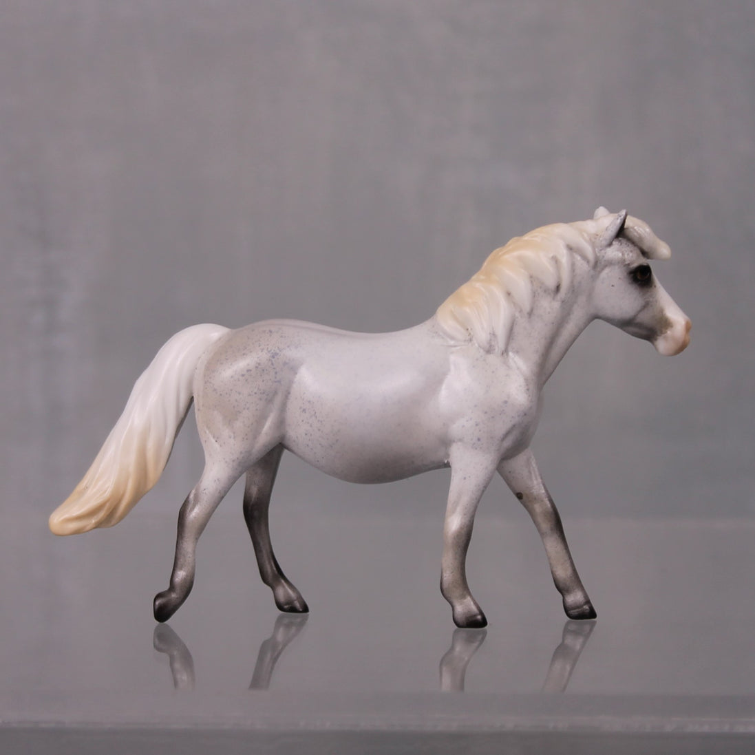 Autumn Rain Drop OOAK Series of 20 Shetland Ponies Fleabitten Grey Pony Chip By Ashley Palmer LHS24
