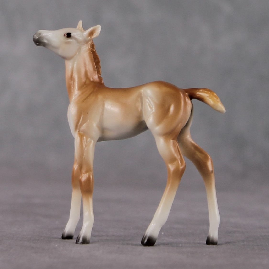 Foal Chip Grab Bag - January 2025 We've Got History Shakespeare Chips Painted By Ellen Robbins CL25