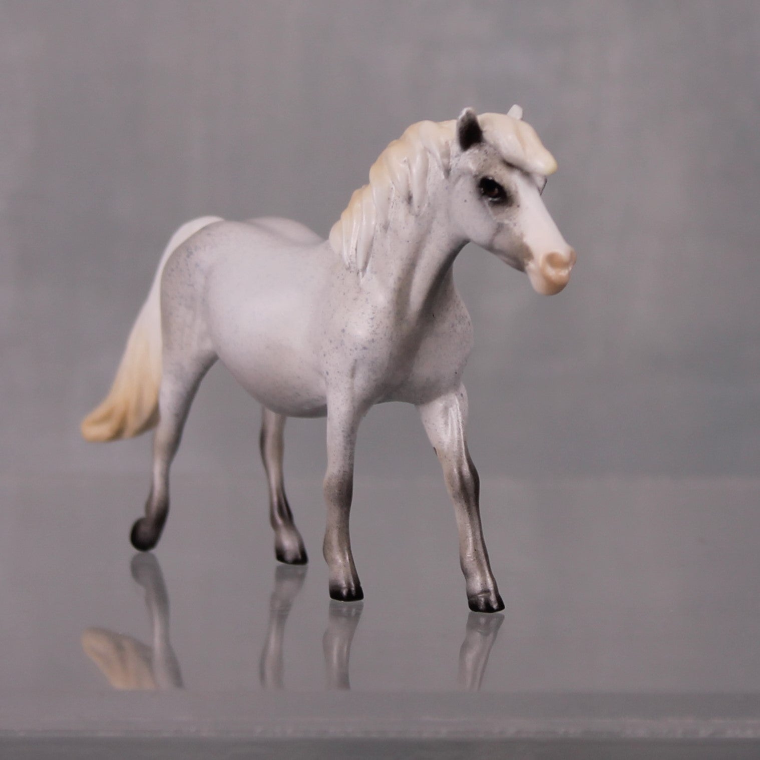 Autumn Rain Drop OOAK Series of 20 Shetland Ponies Fleabitten Grey Pony Chip By Ashley Palmer LHS24