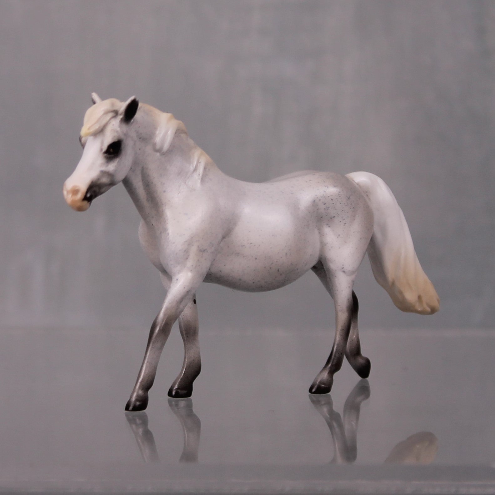 Autumn Rain Drop OOAK Series of 20 Shetland Ponies Fleabitten Grey Pony Chip By Ashley Palmer LHS24