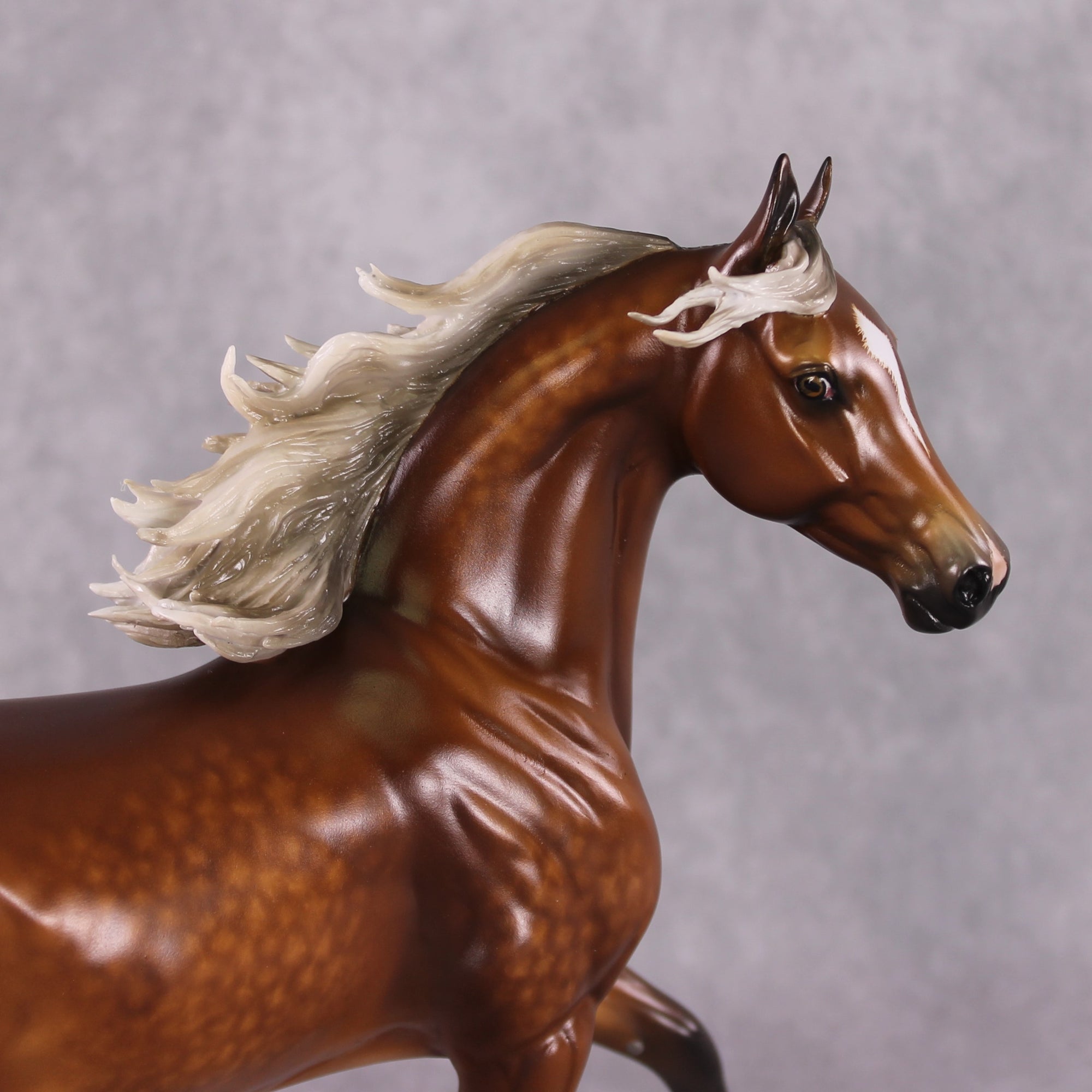 "Typhoon Mary" Best Offer FCM Arab Mare By Sheryl Leisure 04/22/2025