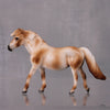 Cinna-Bean OOAK Series of 20 Shetland Ponies Varnish Appaloosa Pony Chip By Ashley Palmer LHS24