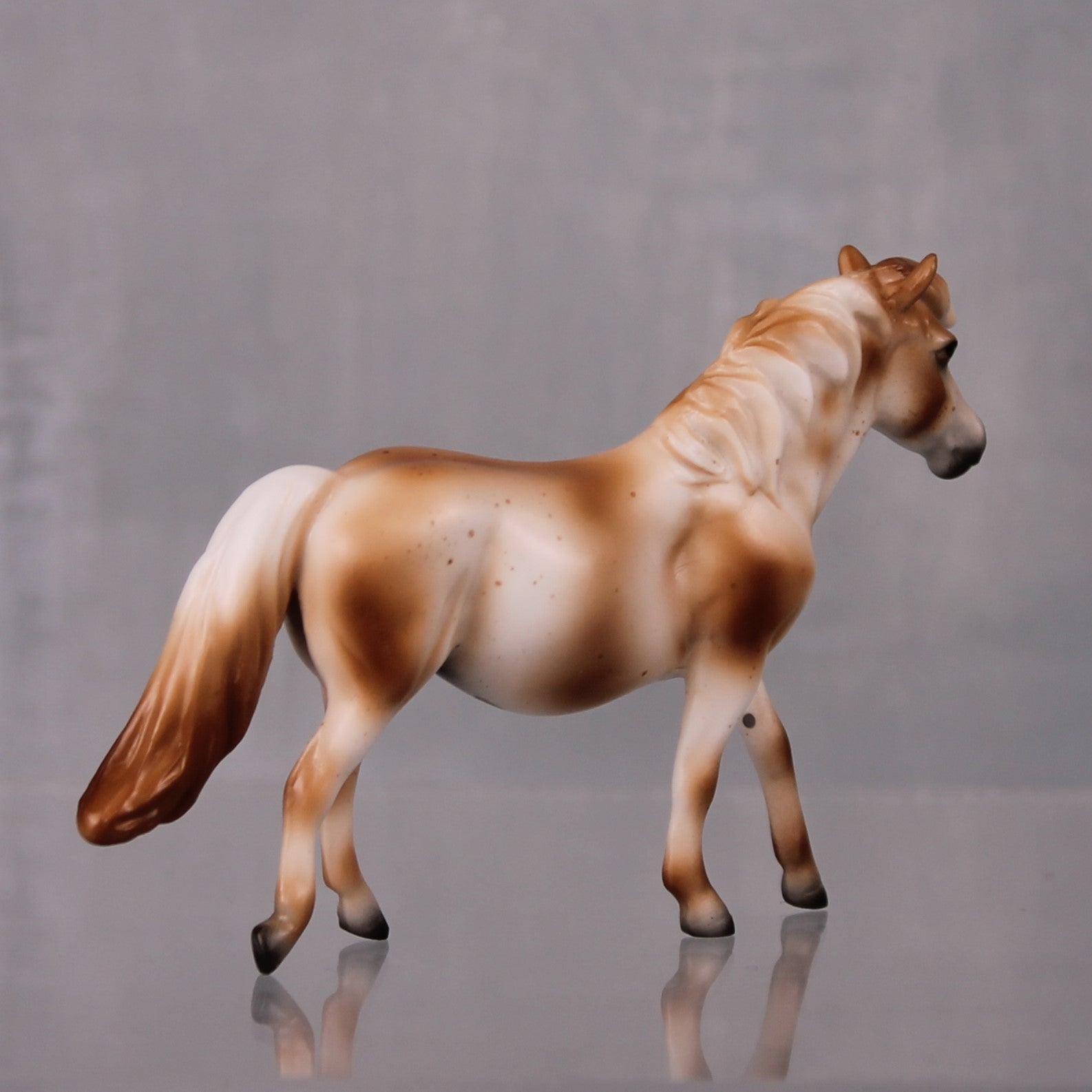 Cinna-Bean OOAK Series of 20 Shetland Ponies Varnish Appaloosa Pony Chip By Ashley Palmer LHS24