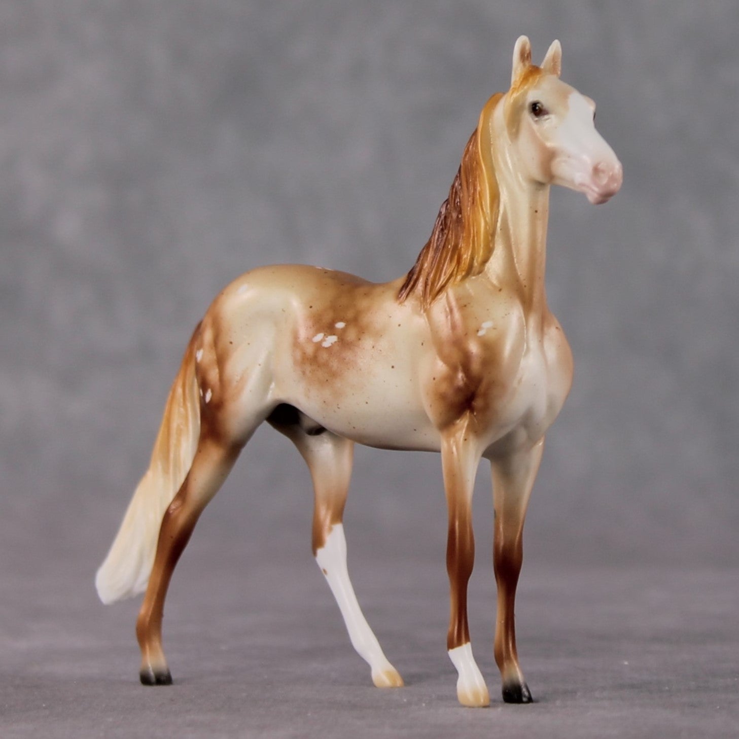 Morgan Chip Grab Bag - January 2025 We've Got History Shakespeare Chips Painted By Ellen Robbins CL25