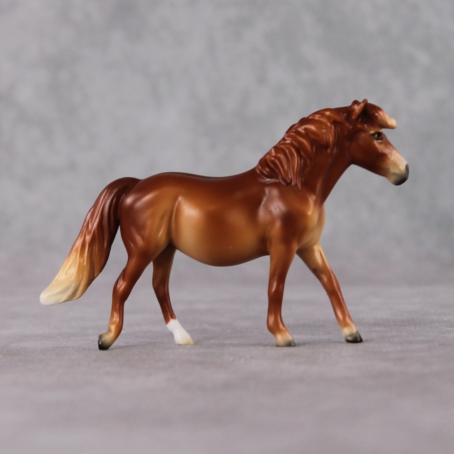 Pony Chip Grab Bag - January 2025 We've Got History Shakespeare Chips Painted By Ellen Robbins CL25