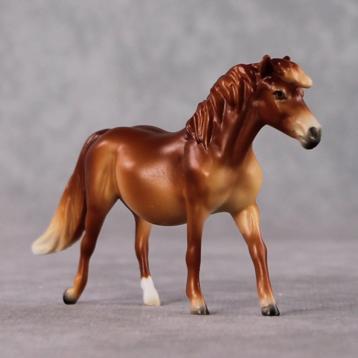 Pony Chip Grab Bag - January 2025 We've Got History Shakespeare Chips Painted By Ellen Robbins CL25