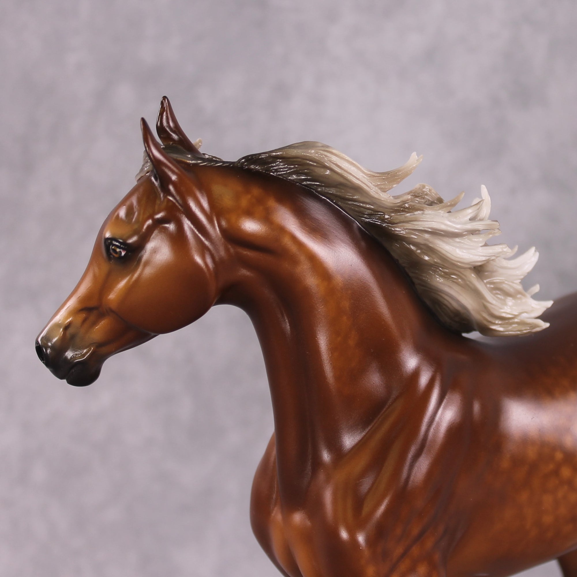 "Typhoon Mary" Best Offer FCM Arab Mare By Sheryl Leisure 04/22/2025