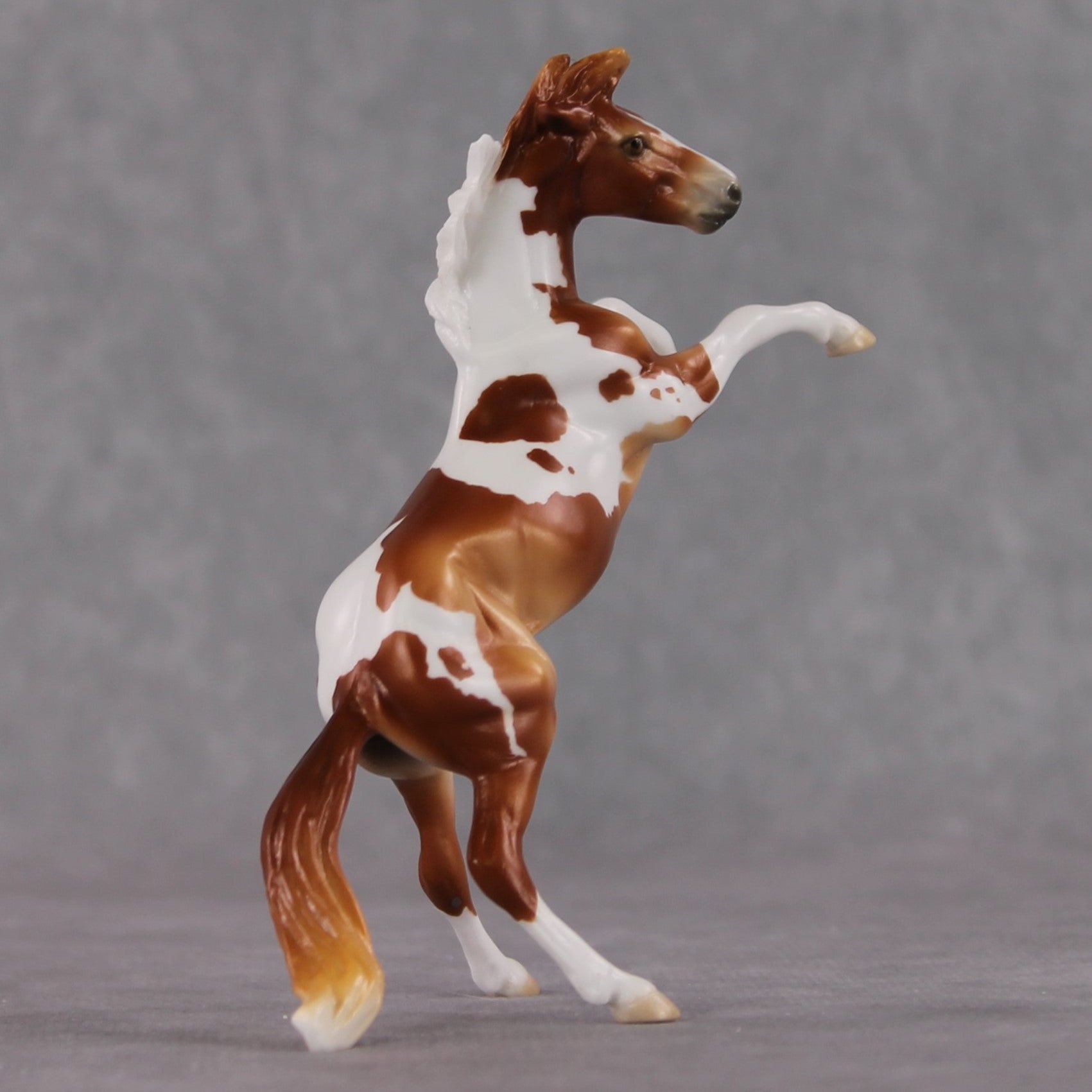 Rearing Chip Grab Bag - January 2025 We've Got History Shakespeare Chips Painted By Ellen Robbins CL25