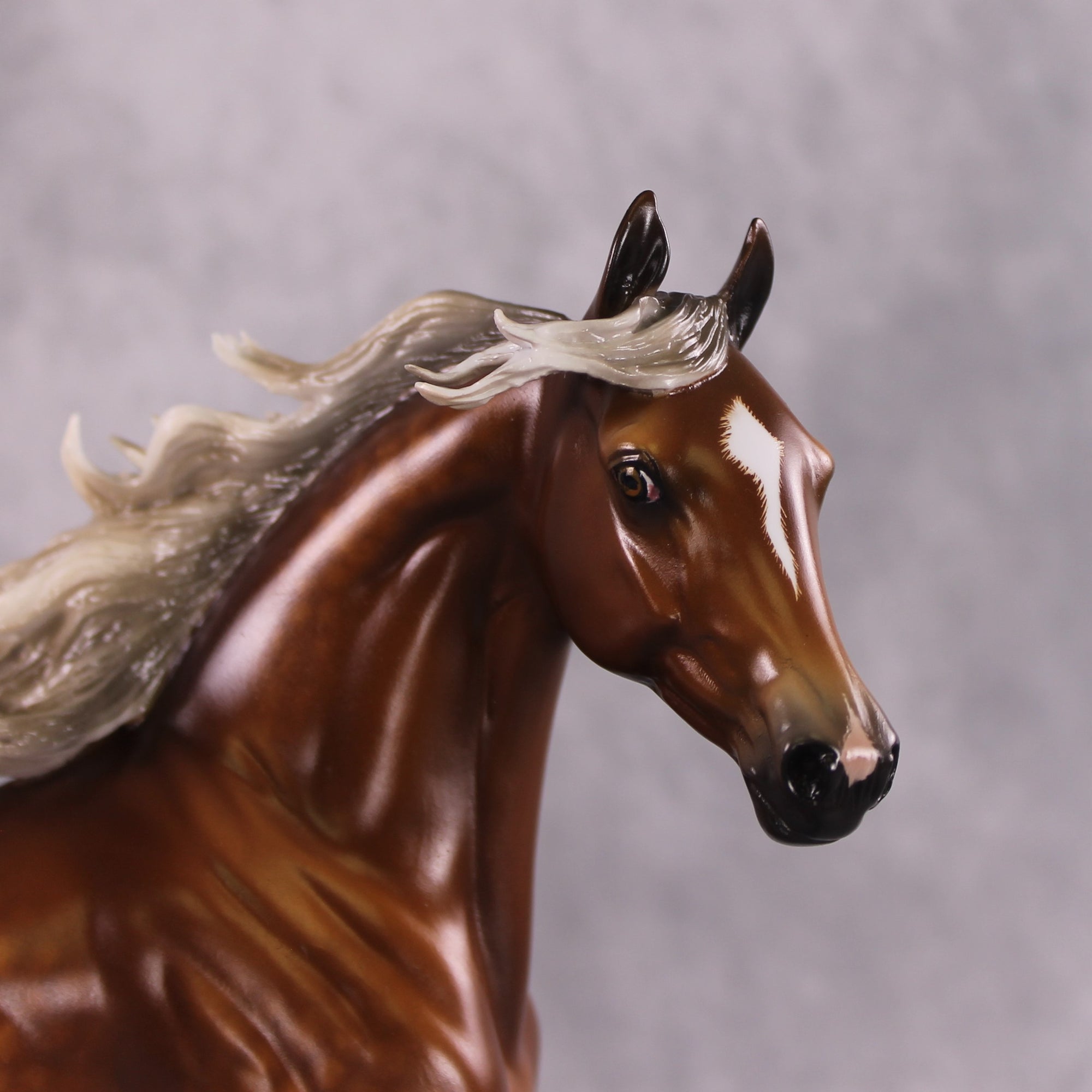 "Typhoon Mary" Best Offer FCM Arab Mare By Sheryl Leisure 04/22/2025