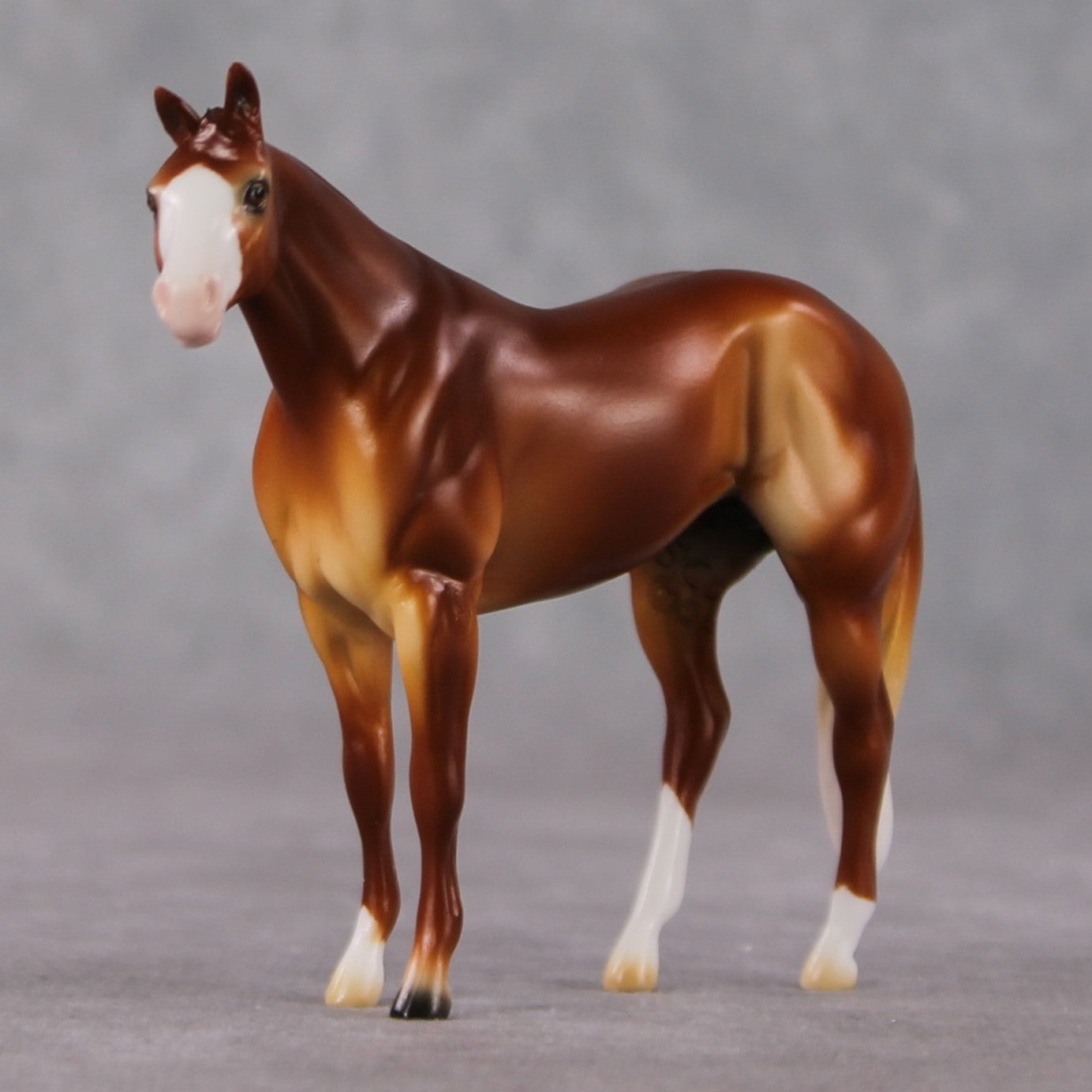 Stock Horse Chip Grab Bag - January 2025 We've Got History Shakespeare Chips Painted By Ellen Robbins CL25